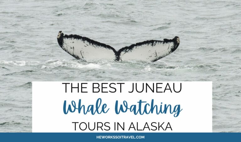 The Best Juneau Whale Watching Tours in Alaska