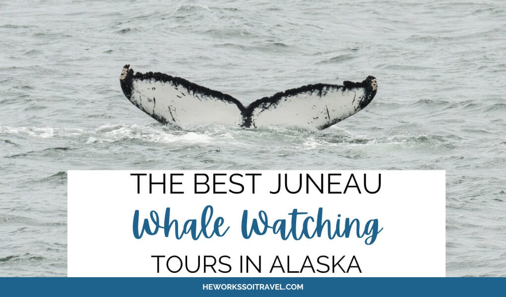 Juneau Whale watching tours