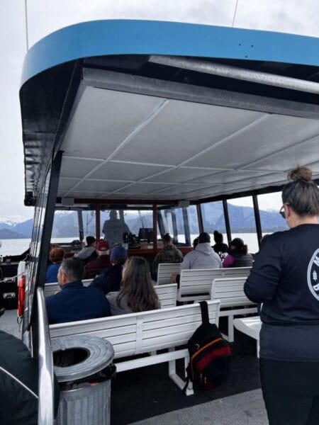 large whale watching tour