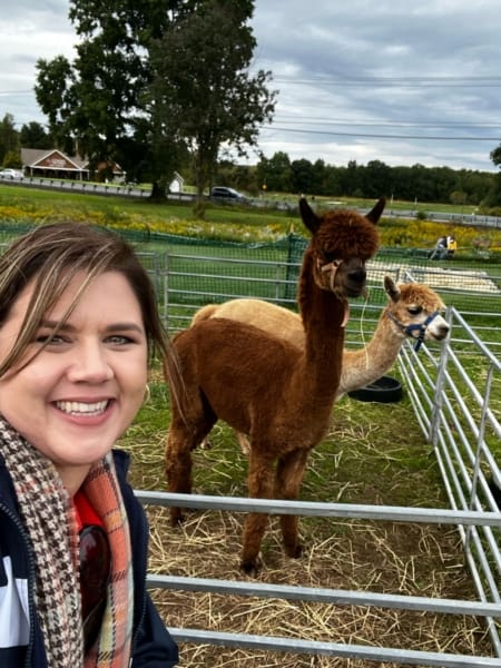 Lyman Orchard farm animals