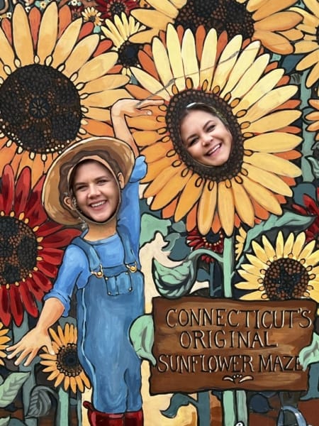 sunflower backdrop at corn maze in Connecticut