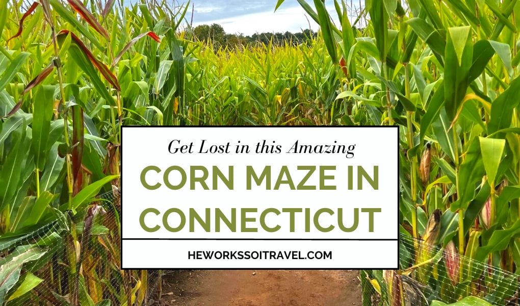 Get Lost in this Amazing Corn Maze in Connecticut