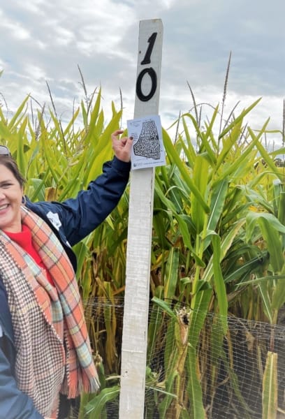 corn maze marker