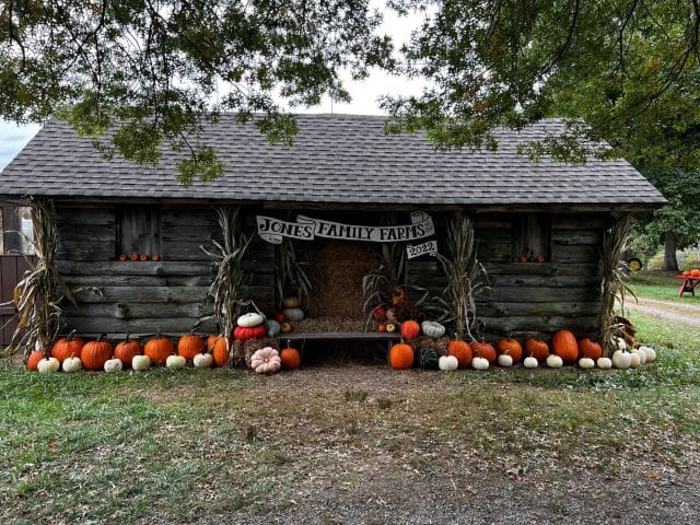 Pumpkin patch in Connecticut
