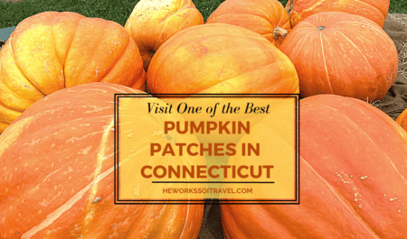 pumpkin patch in Connecticut