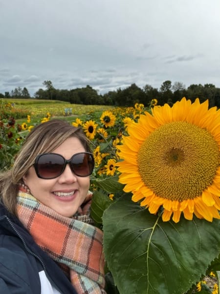 sunflowers in CT