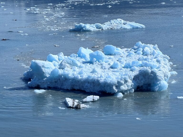 Juneau icebergs