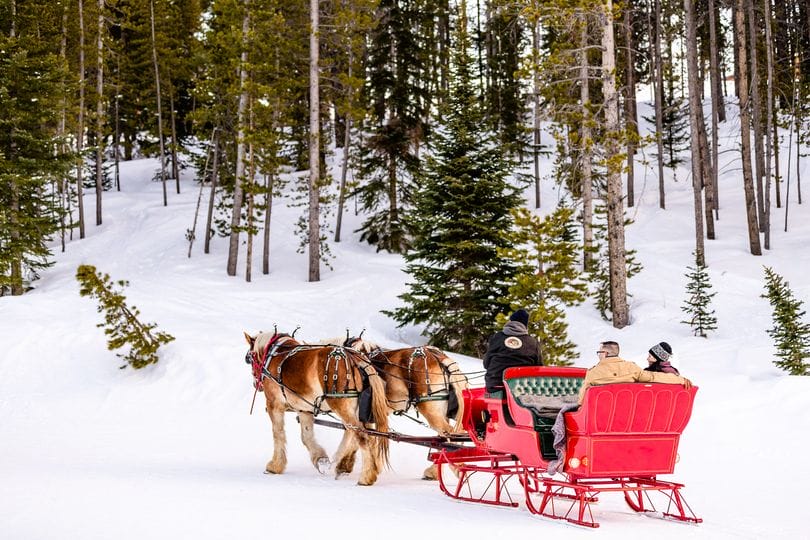 Sleigh ride in Breckenridge mountains