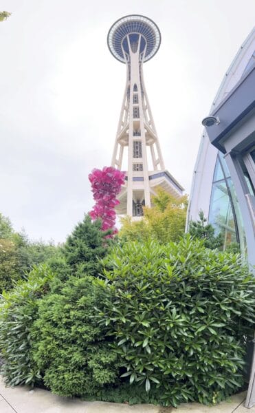 Seattle Space Needle view from gardens