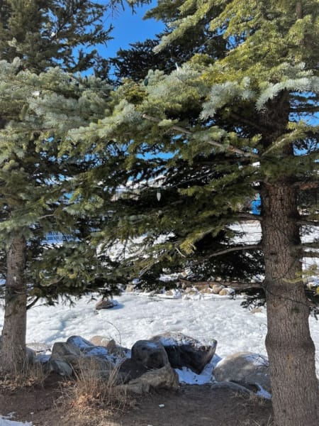 view from the Breckenridge trails