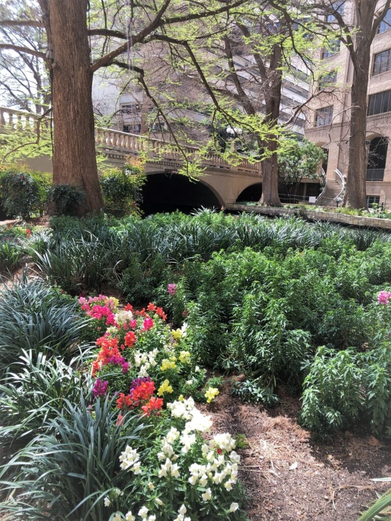 Riverwalk walkway