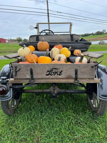 fall activities in Connecticut