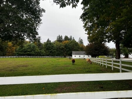 farm in Connecticut