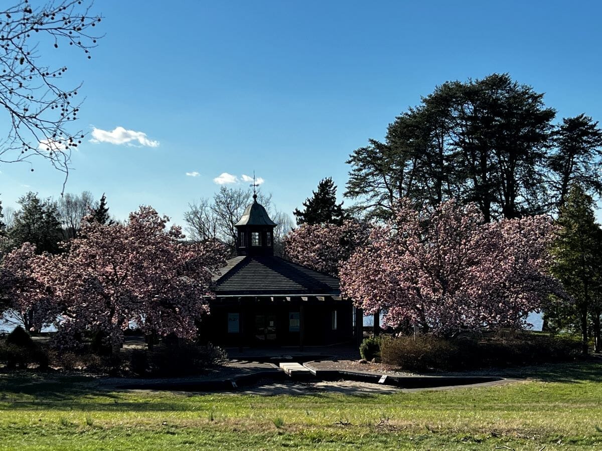 Spring in Kentucky