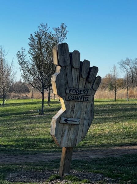 Forest Giants in Bernheim Arboretum