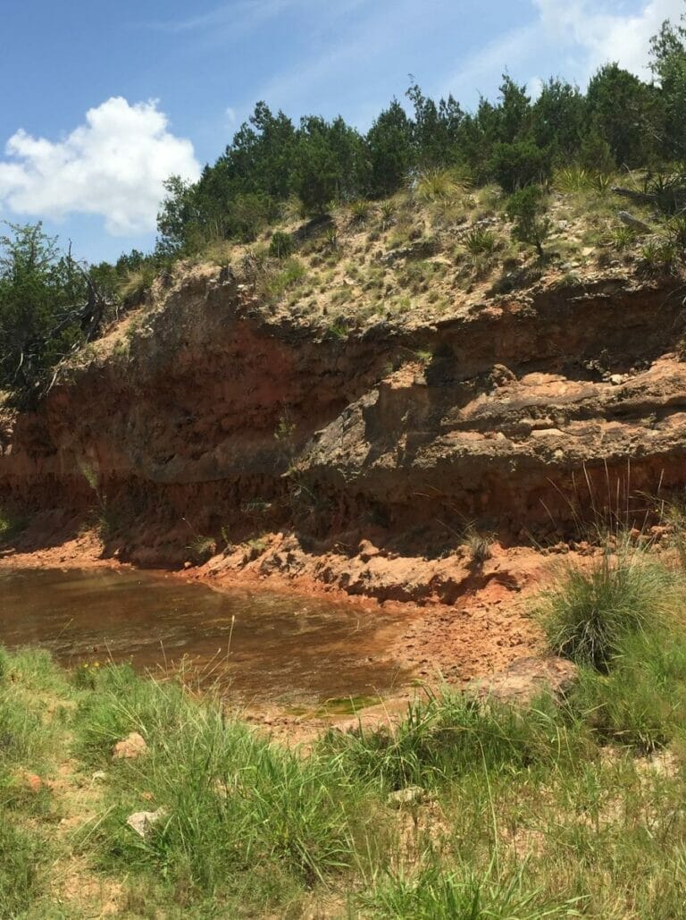 Texas Hill Country rocks