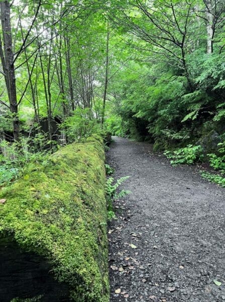 things to do in Ketchikan Alaska from cruise ship port hiking trails