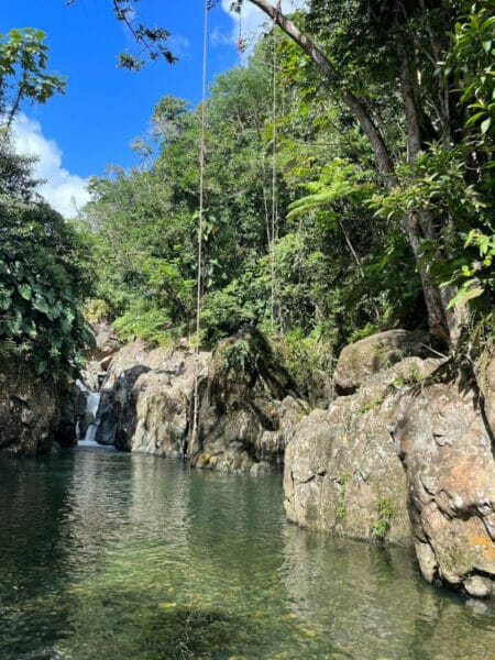 El Yunque rainforest