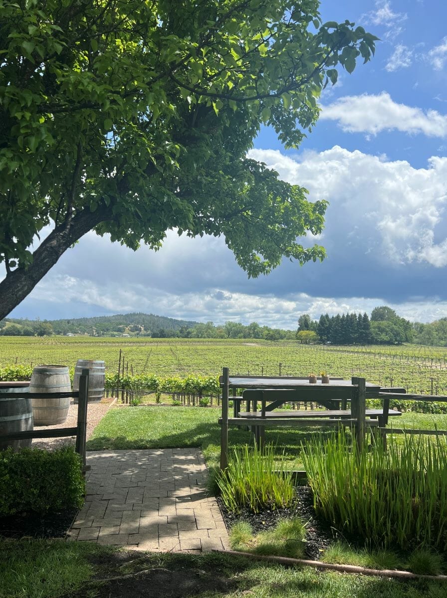 Sonoma winery view
