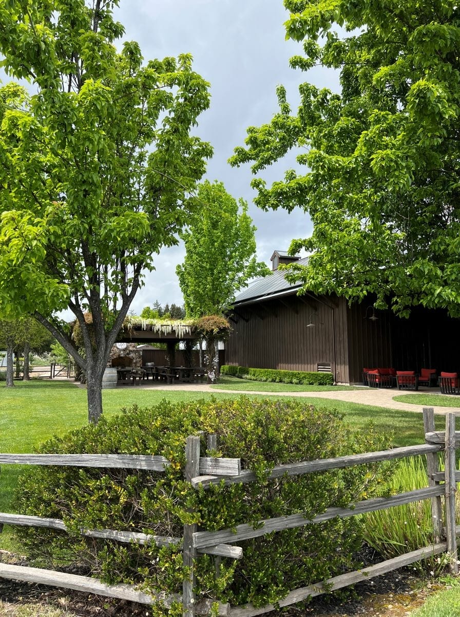 Sonoma winery view