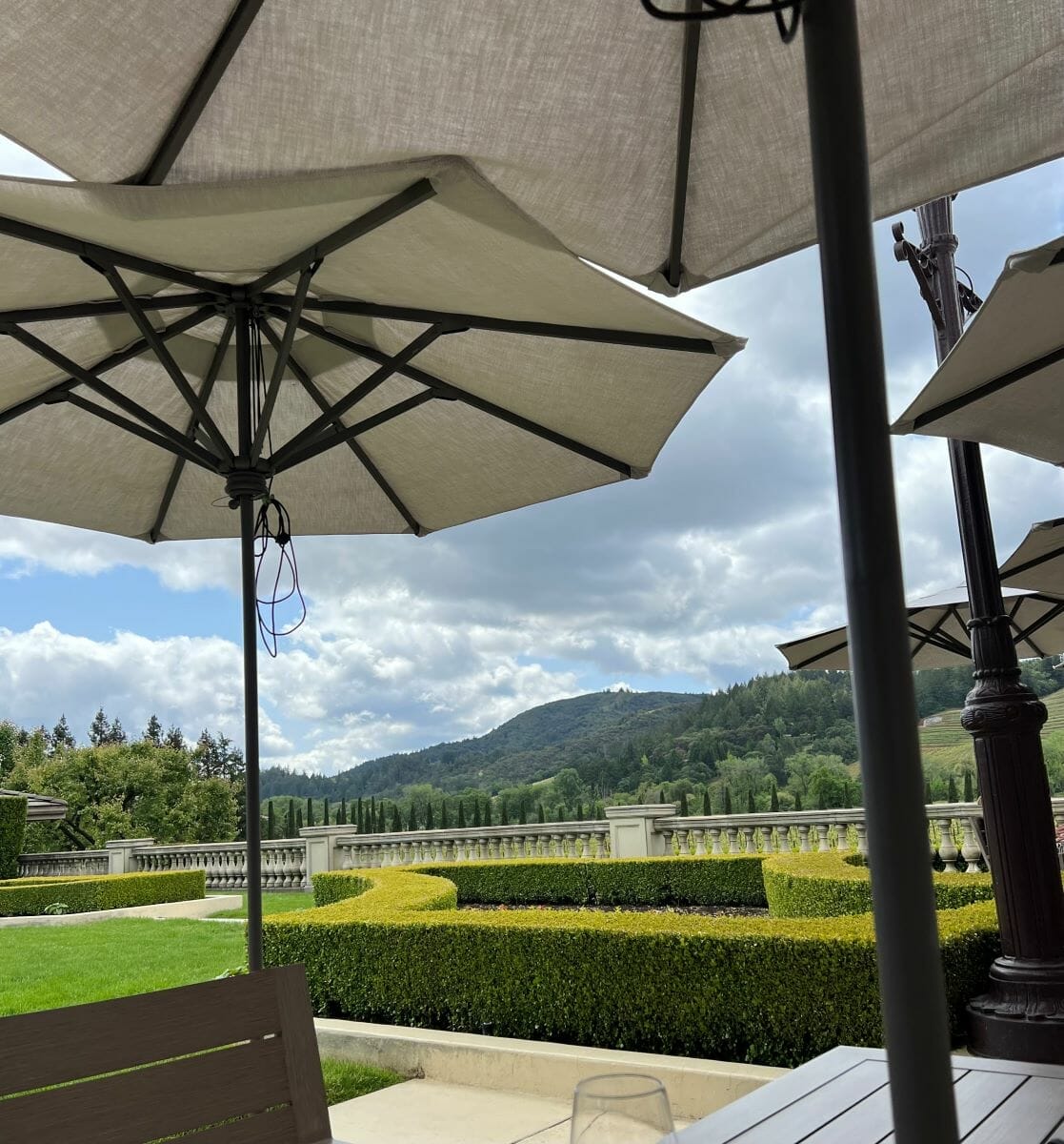 Sonoma winery view