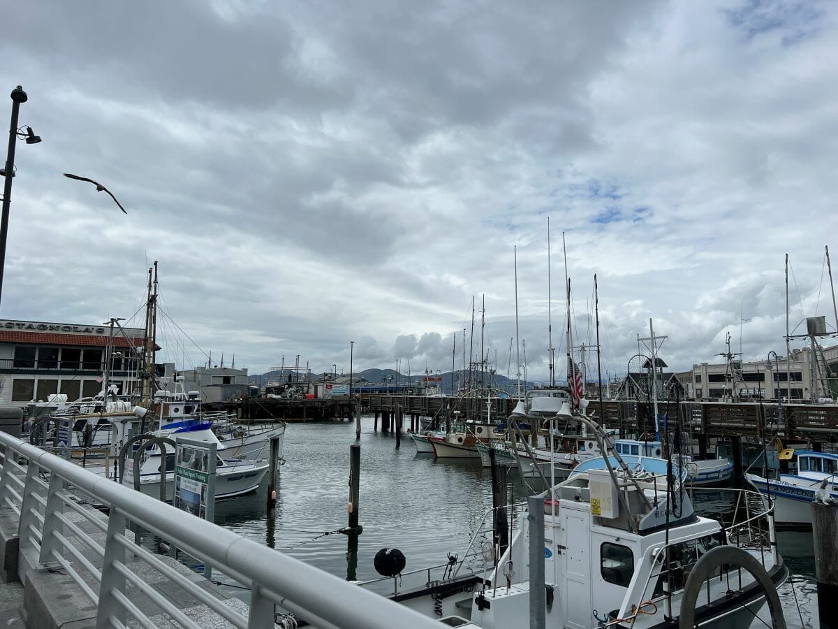 Fisherman's Wharf ships