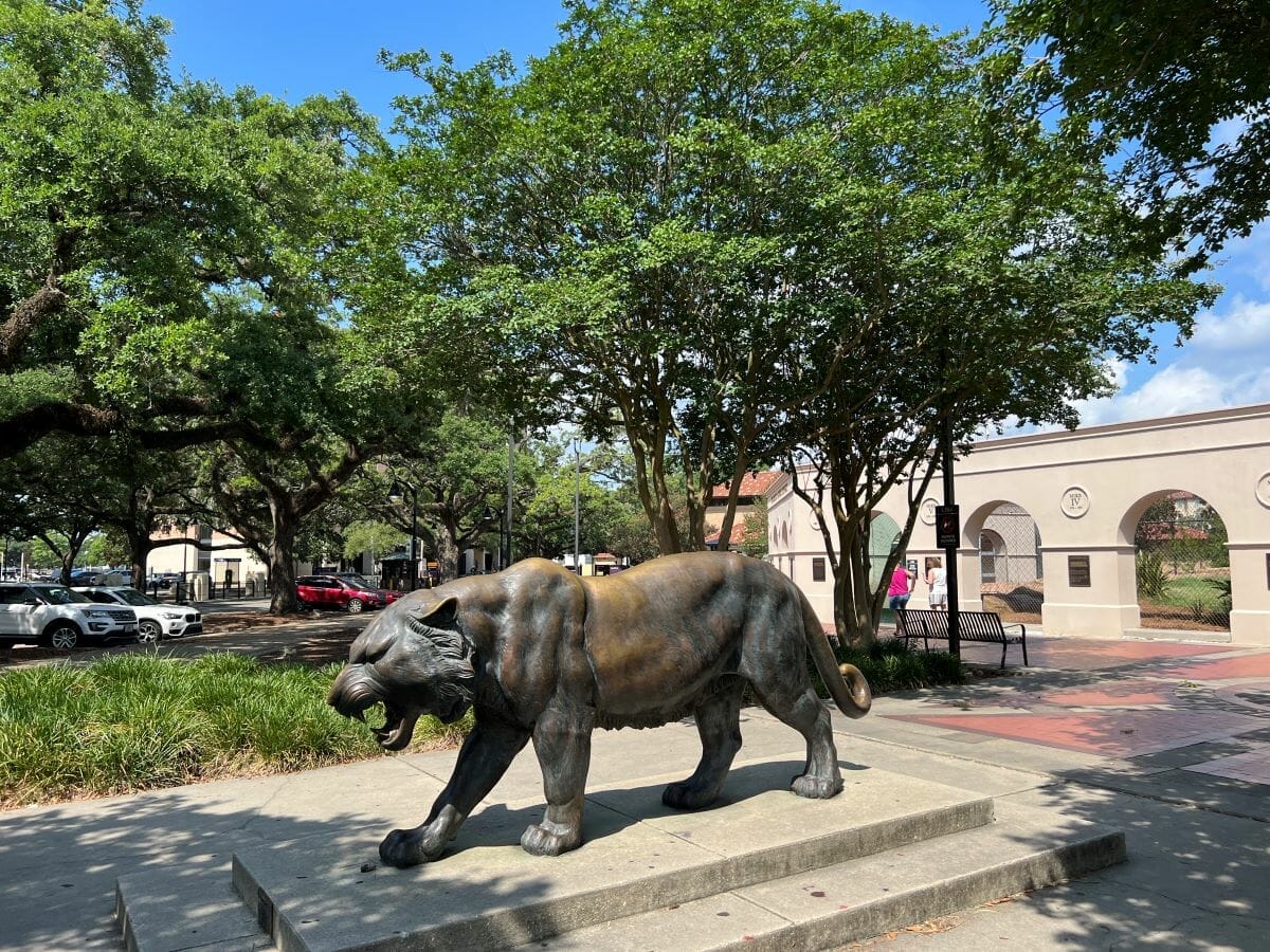 LSU Tiger enclosure