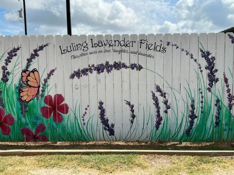 Texas to Louisiana Road Trip Luling Lavender