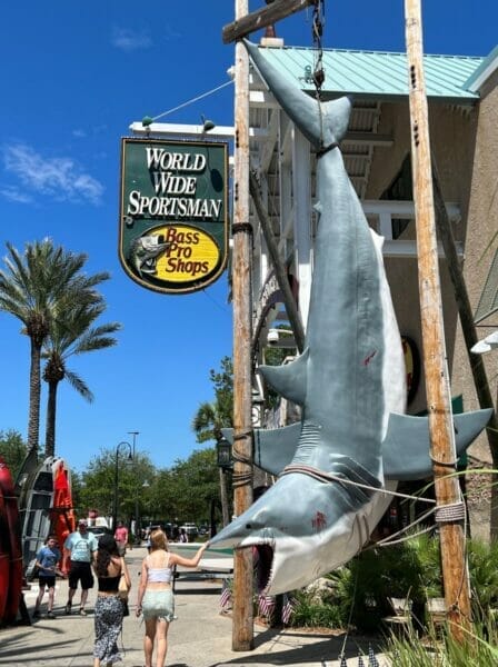 Bass Pro Shop 30A