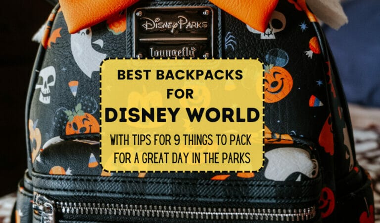 Best Backpacks for Disney World with Tips for Nine Things to Pack for a Great Day in the Park