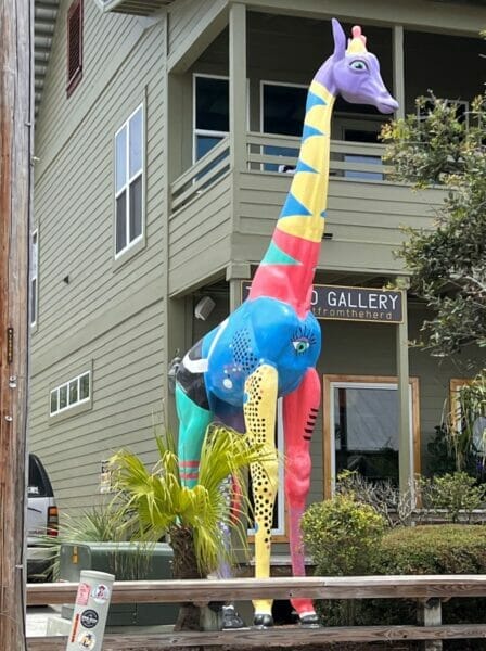 Zoo Gallery best Shopping on 30a