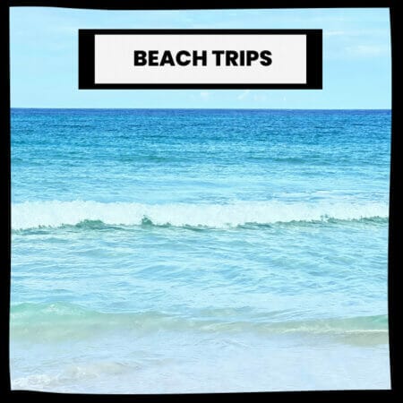 Travel Experience Beach Trips