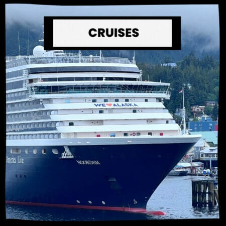 Travel Experience Cruises