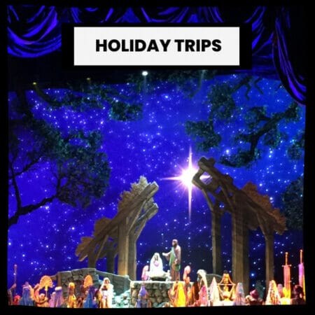 Travel Experience Holiday Trips