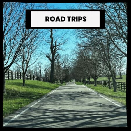 Travel Experience Road Trips