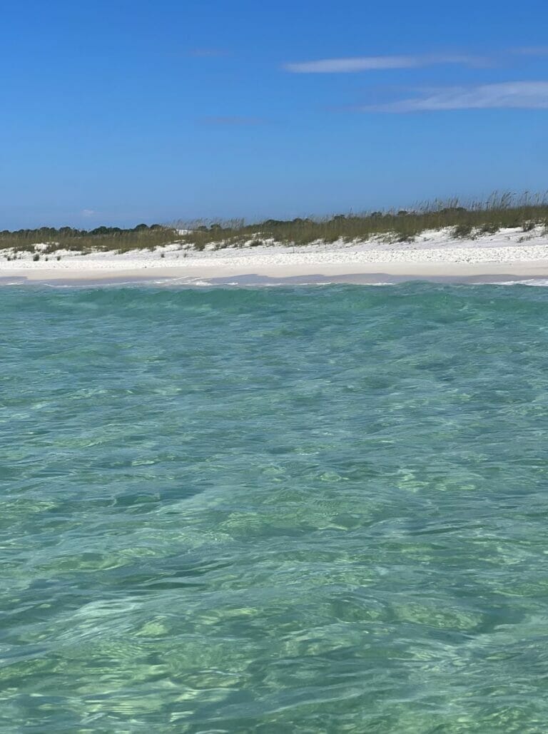 beautiful 30A beach