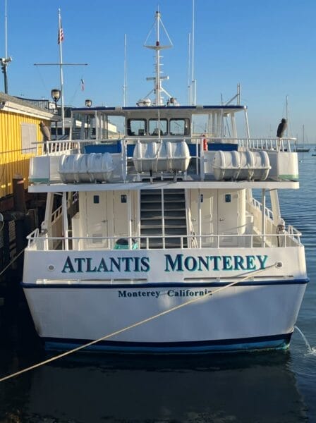 Princess Monterey Whale Watching boat