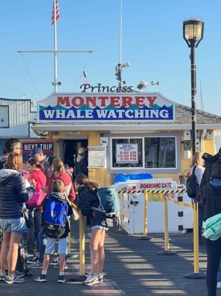 Princess Monterey Whale Watching
