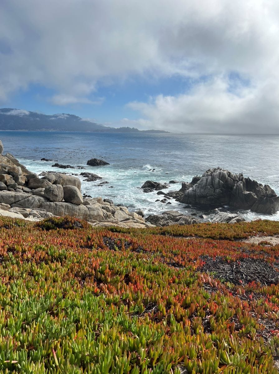 Garrapata Park nearby visiting Carmel by the Sea