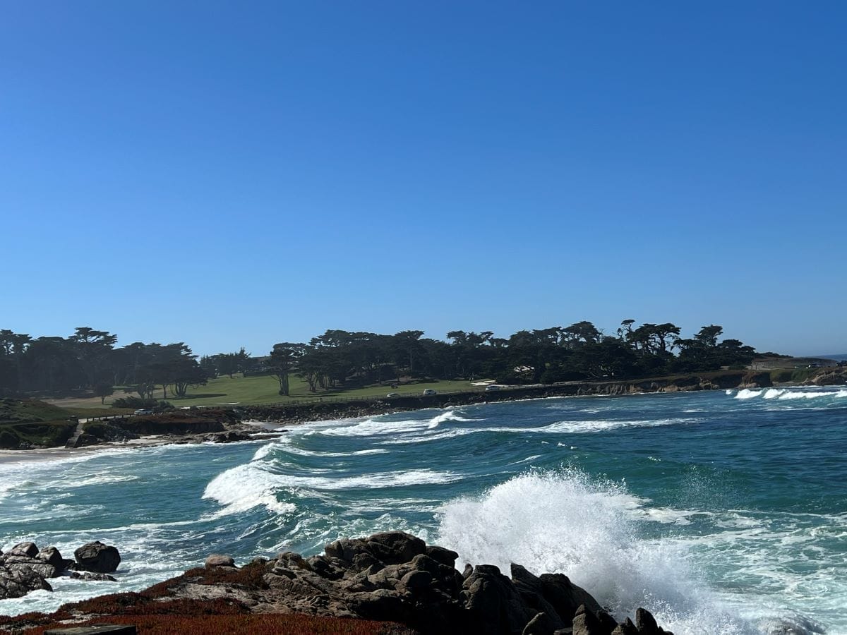 17 mile drive near Carmel by the Sea