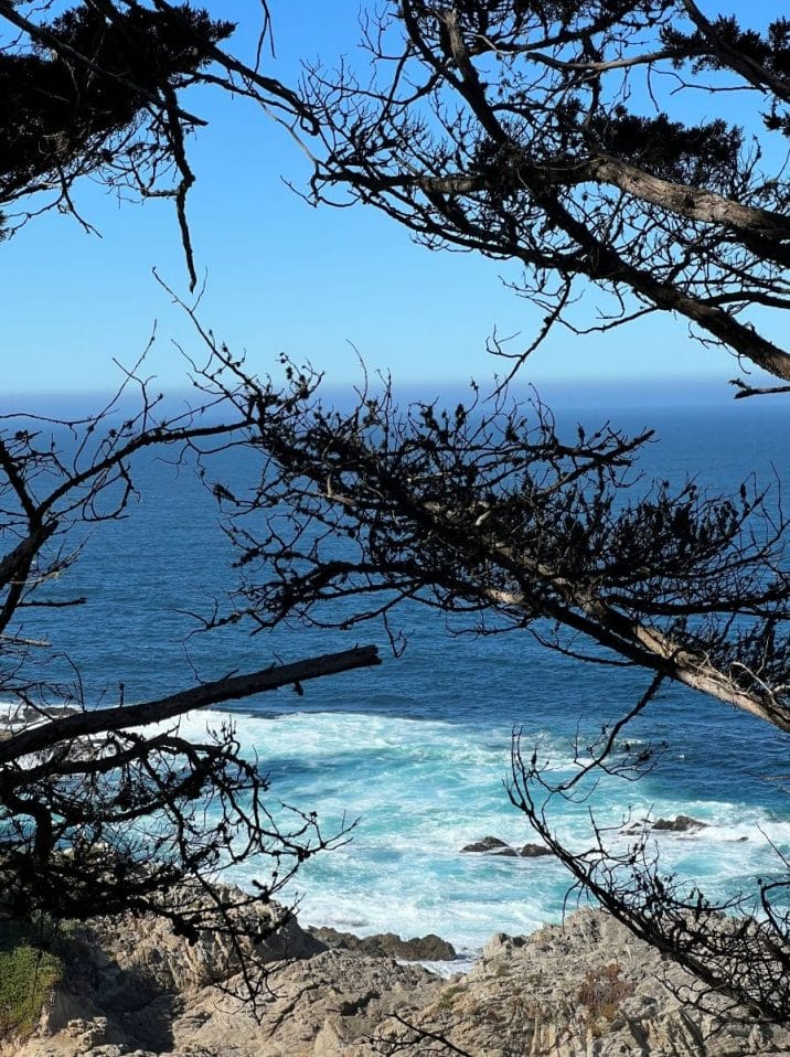 Point Lobos State Park - Carmel to Big Sur