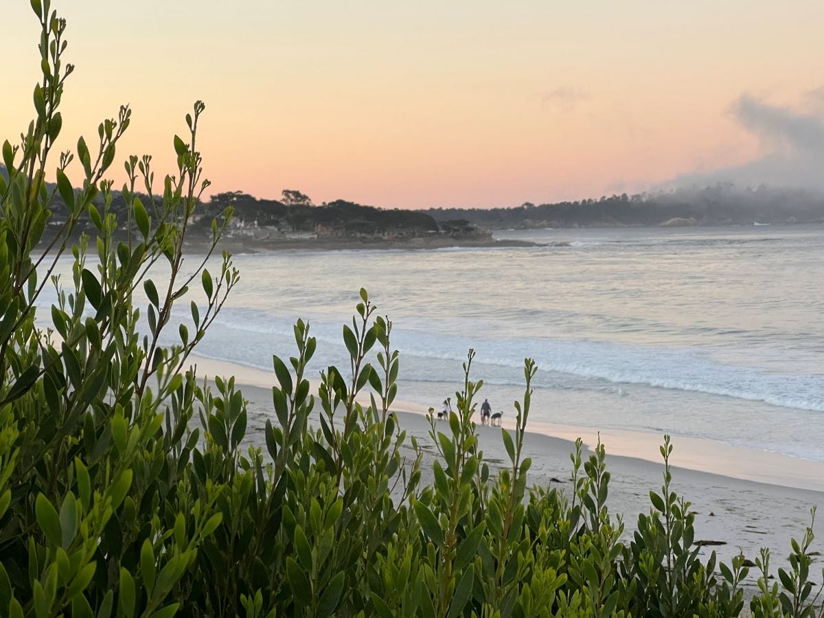 visiting Carmel by the Sea beach