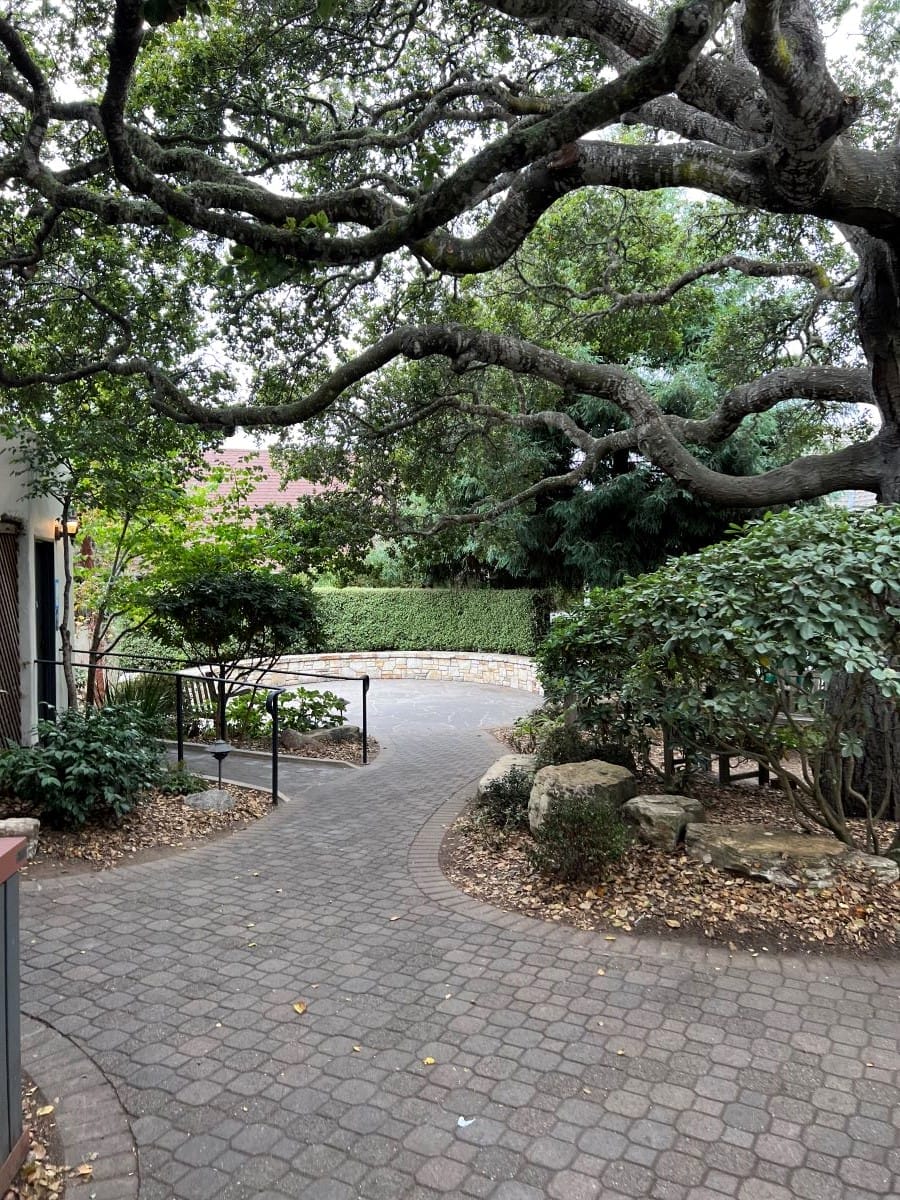 Courtyard in Carmel by the Sea