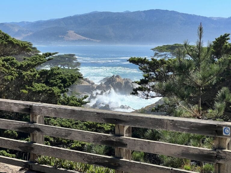 The Ultimate Travel Guide For Visiting Carmel by the Sea to Big Sur