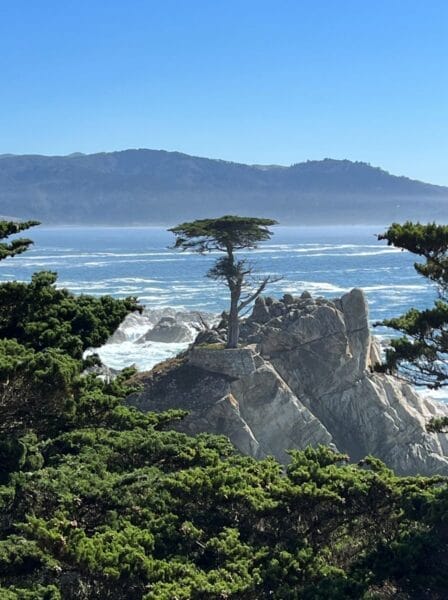 The Lone Cypress on 17 mile drive