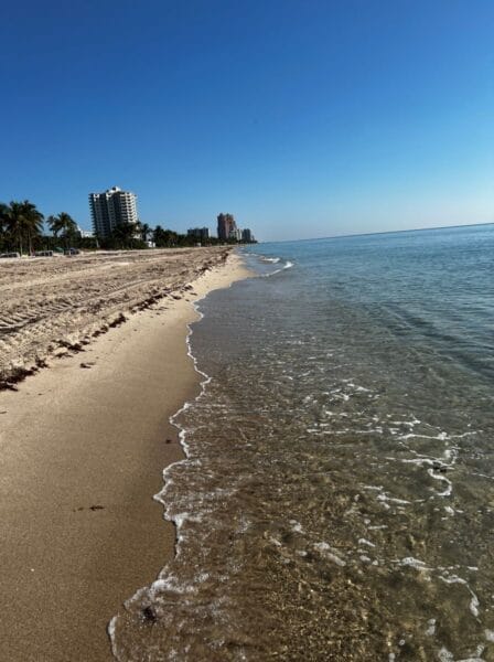 Beach outside of Hugh Taylor birch park