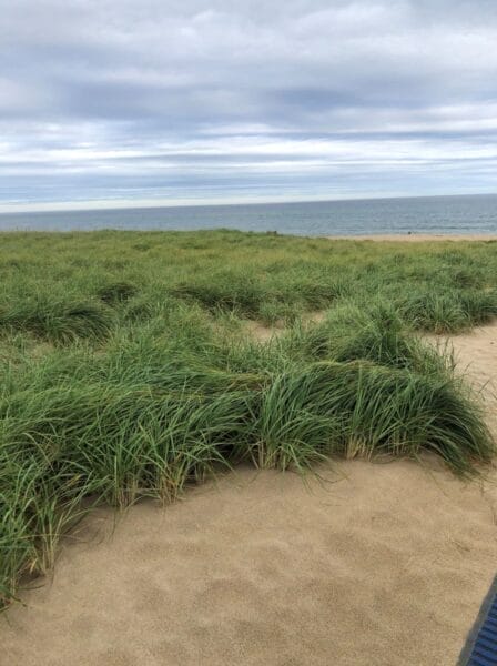 Cape Cod beach in the fall