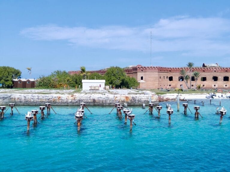 Dry Tortugas Excursion