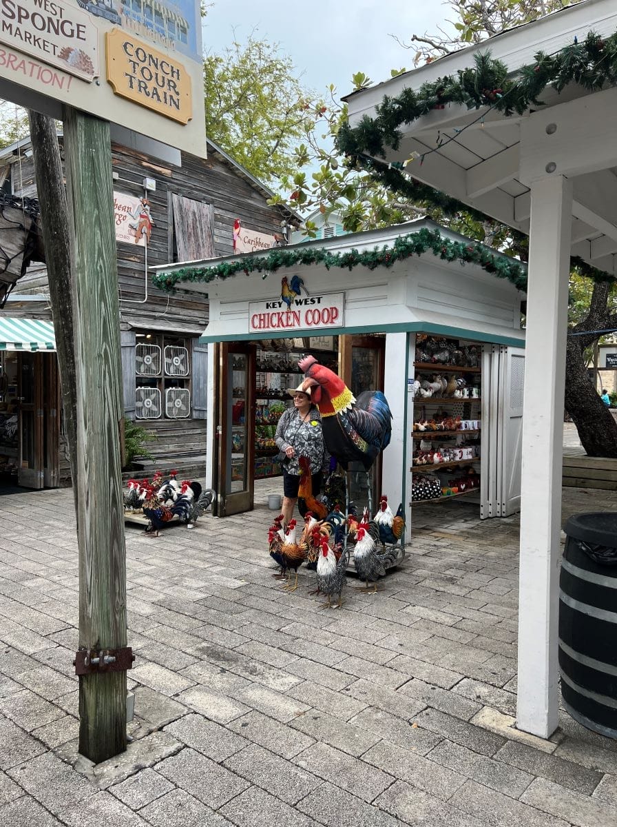 Chicken Coop Mallory Square