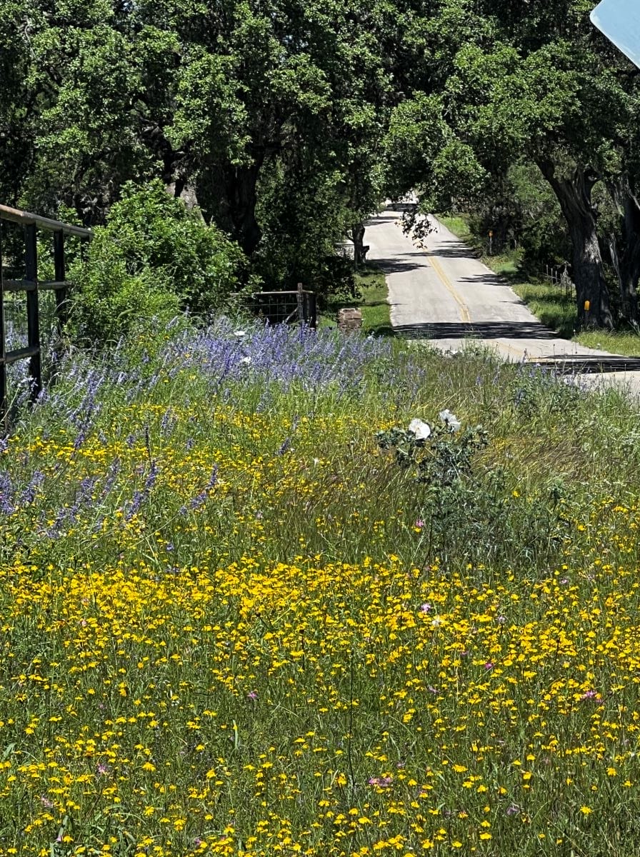 road to the Texas Hill Country